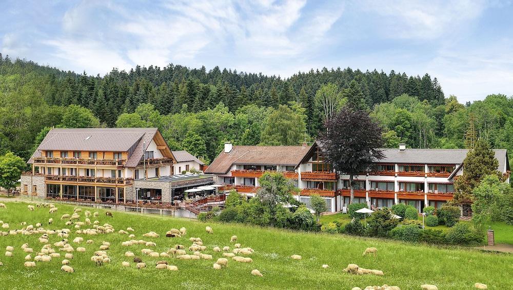 Hotel Gruener Wald Freudenstadt Exterior photo