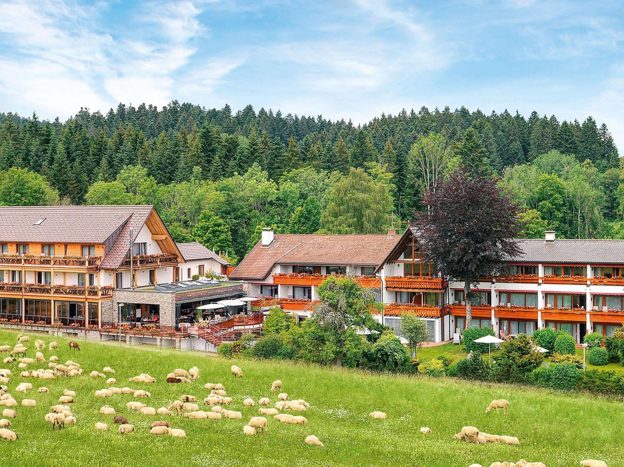 Hotel Gruener Wald Freudenstadt Exterior photo